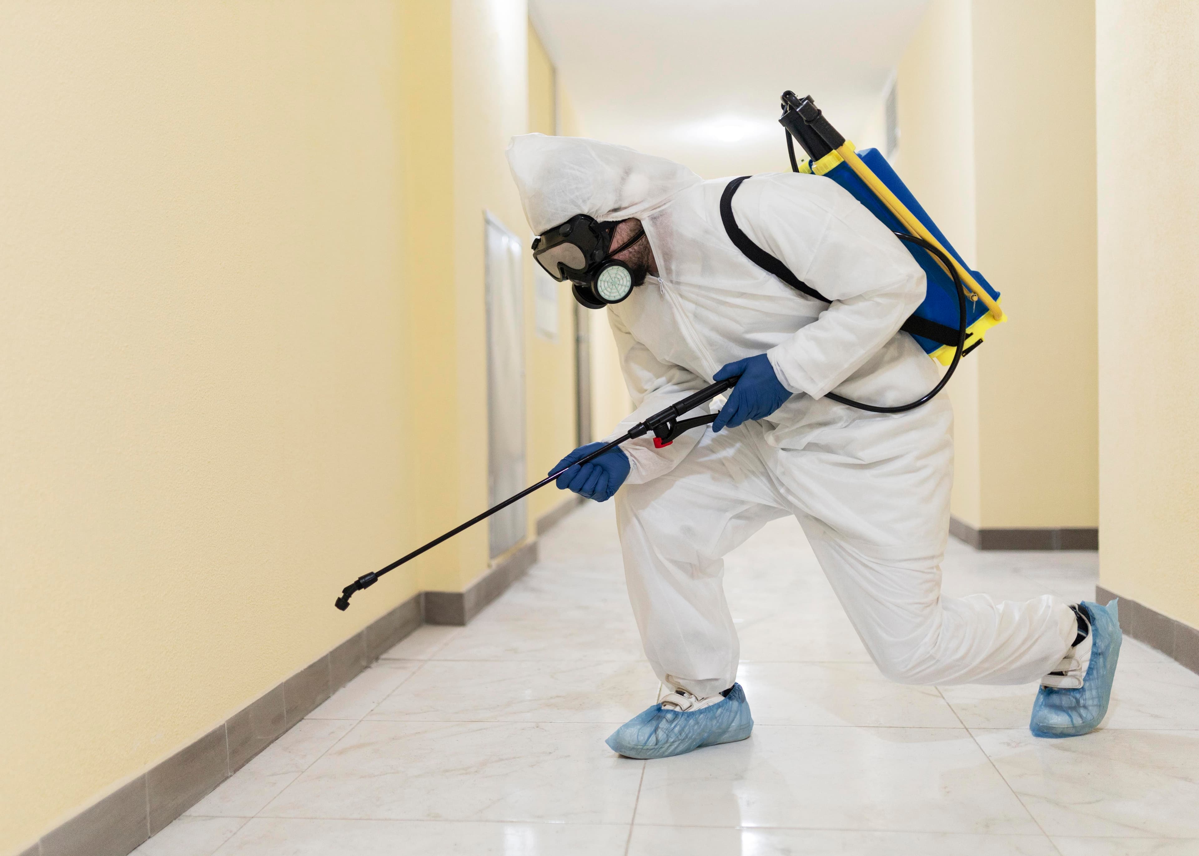 Pest control service 3