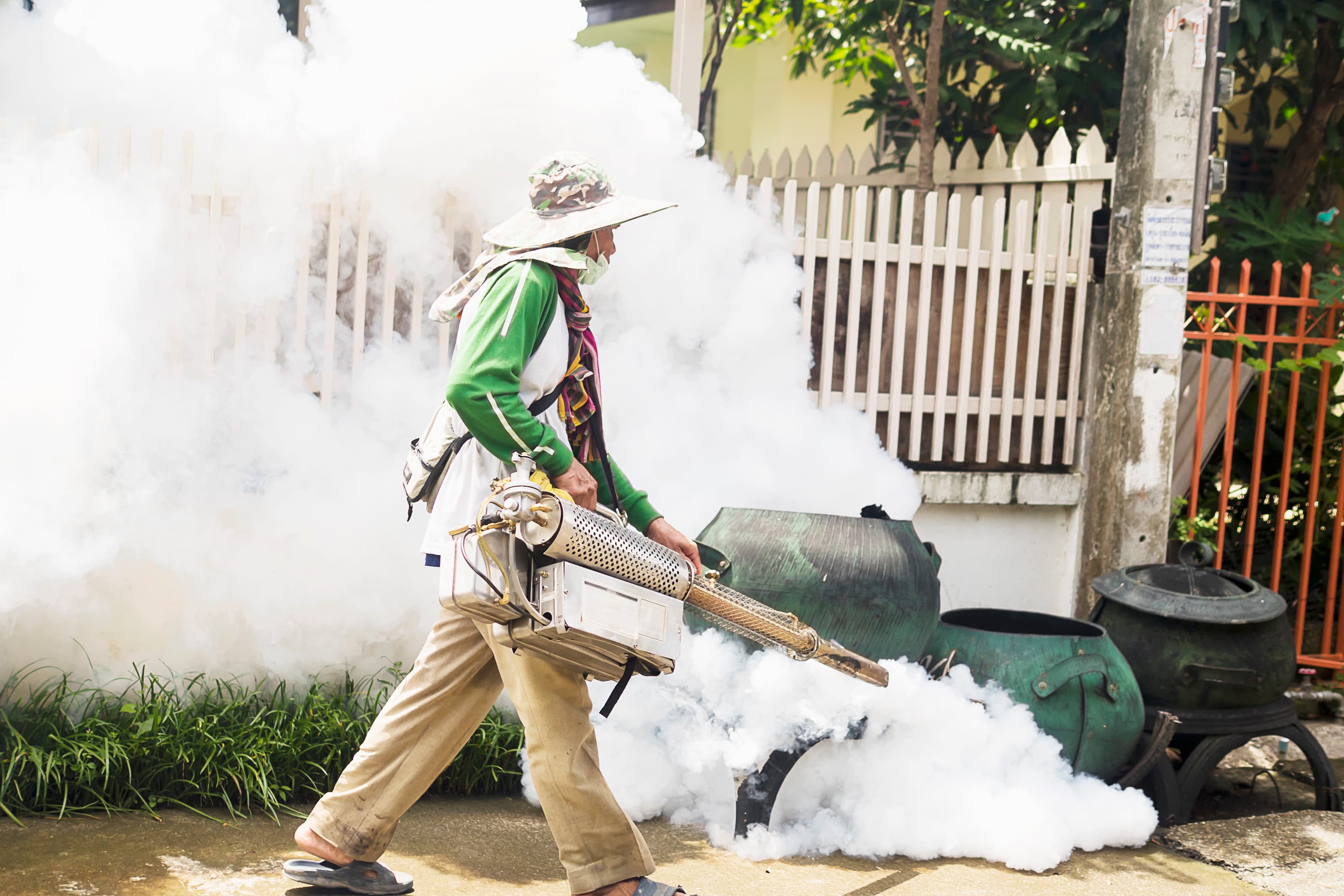 Pest control service 4